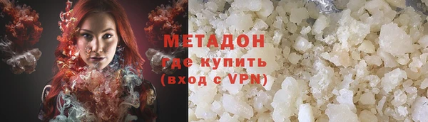шишки Гусиноозёрск