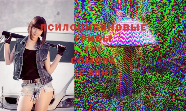 кокаин колумбия Дмитриев