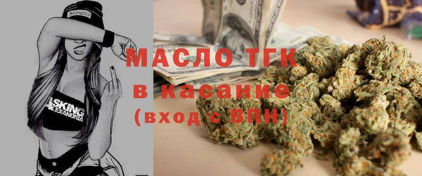 шишки Гусиноозёрск