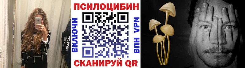 Псилоцибиновые грибы прущие грибы  Купить закладки  Кубинка 